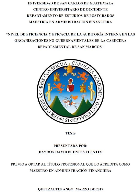 NIVEL DE EFICIENCIA Y EFICACIA DE LA AUDITORÍA INTERNA EN LAS ORGANIZACIONES NO GUBERNAMENTALES DE LA CABECERA DEPARTAMENTAL DE SAN MARCOS